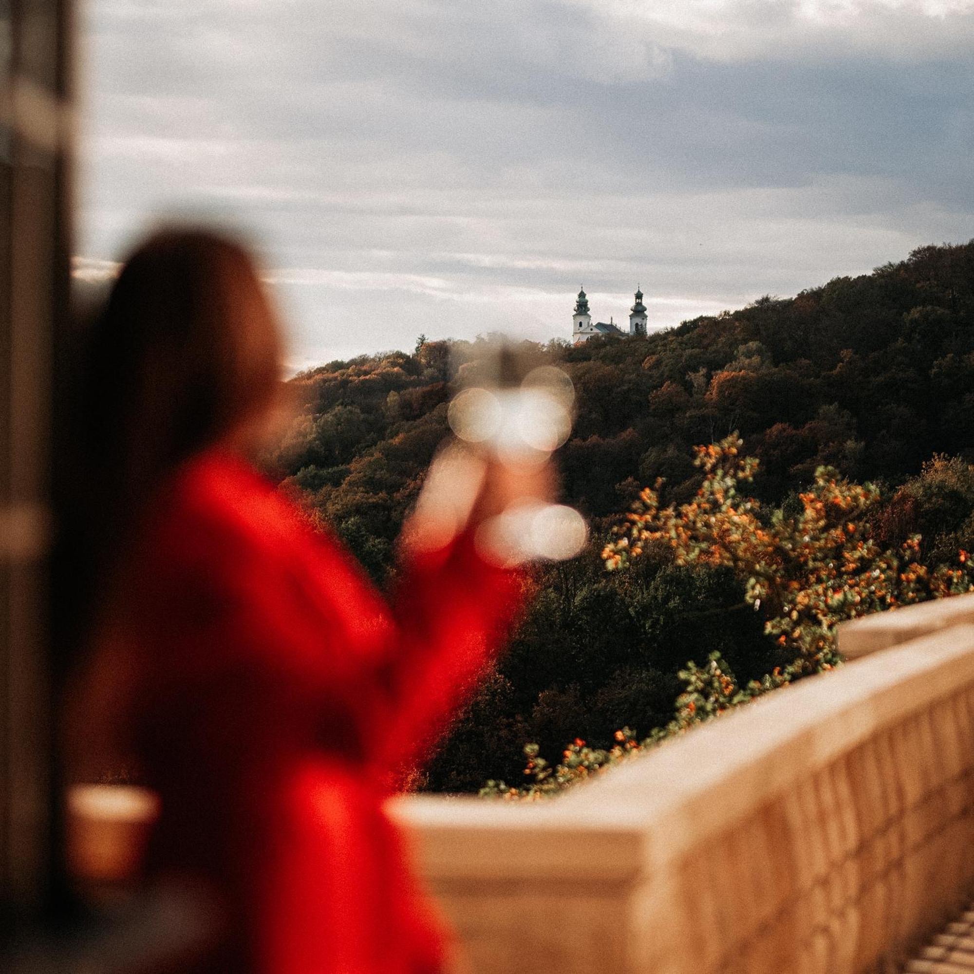 Zinar Castle Hotel Krakow Luaran gambar